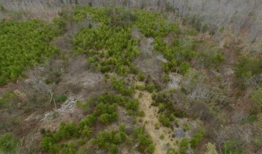 Photo of SOLD!!  28.8 Acres of Hunting and Residential Land For Sale in Fluvanna County VA!