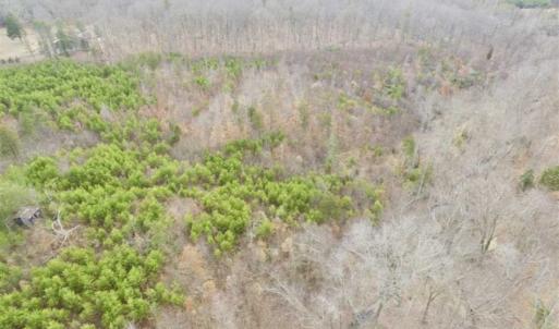 Photo of SOLD!!  28.8 Acres of Hunting and Residential Land For Sale in Fluvanna County VA!