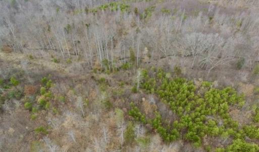 Photo of SOLD!!  28.8 Acres of Hunting and Residential Land For Sale in Fluvanna County VA!