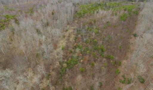 Photo of SOLD!!  28.8 Acres of Hunting and Residential Land For Sale in Fluvanna County VA!