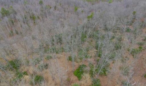 Photo of SOLD!!  28.8 Acres of Hunting and Residential Land For Sale in Fluvanna County VA!