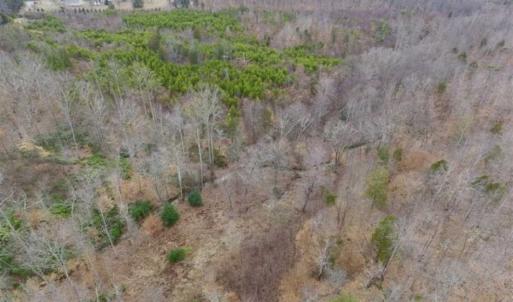 Photo of SOLD!!  28.8 Acres of Hunting and Residential Land For Sale in Fluvanna County VA!