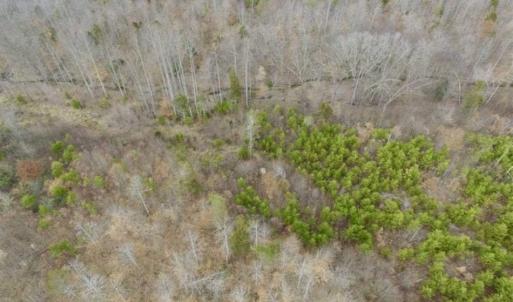 Photo of SOLD!!  28.8 Acres of Hunting and Residential Land For Sale in Fluvanna County VA!