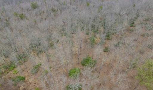 Photo of SOLD!!  28.8 Acres of Hunting and Residential Land For Sale in Fluvanna County VA!