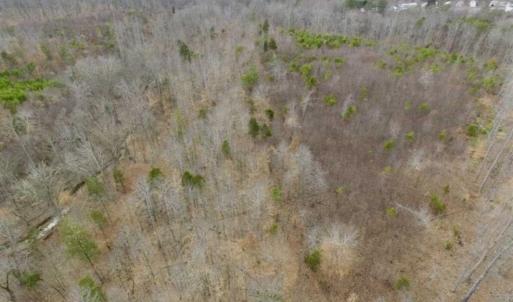 Photo of SOLD!!  28.8 Acres of Hunting and Residential Land For Sale in Fluvanna County VA!