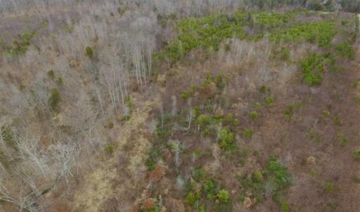 Photo of SOLD!!  28.8 Acres of Hunting and Residential Land For Sale in Fluvanna County VA!