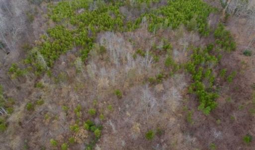 Photo of SOLD!!  28.8 Acres of Hunting and Residential Land For Sale in Fluvanna County VA!