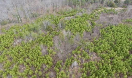 Photo of SOLD!!  28.8 Acres of Hunting and Residential Land For Sale in Fluvanna County VA!