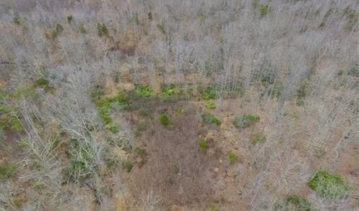 Photo of SOLD!!  28.8 Acres of Hunting and Residential Land For Sale in Fluvanna County VA!