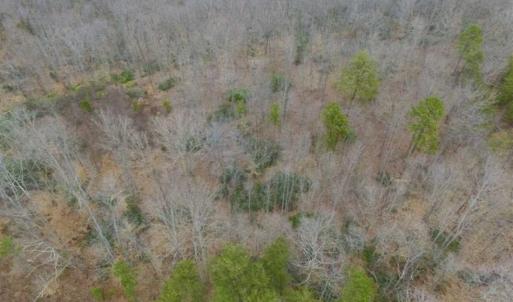Photo of SOLD!!  28.8 Acres of Hunting and Residential Land For Sale in Fluvanna County VA!