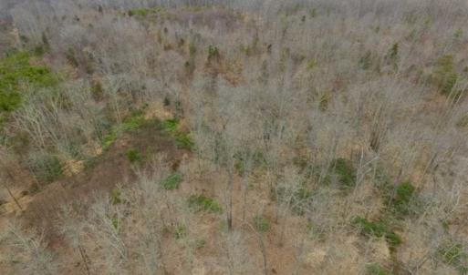 Photo of SOLD!!  28.8 Acres of Hunting and Residential Land For Sale in Fluvanna County VA!