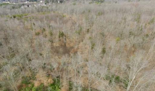 Photo of SOLD!!  28.8 Acres of Hunting and Residential Land For Sale in Fluvanna County VA!
