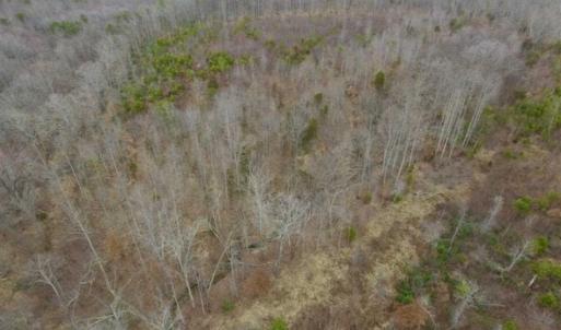 Photo of SOLD!!  28.8 Acres of Hunting and Residential Land For Sale in Fluvanna County VA!