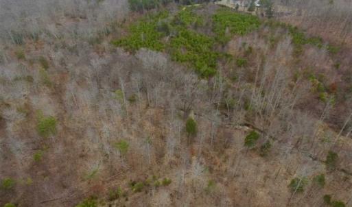 Photo of SOLD!!  28.8 Acres of Hunting and Residential Land For Sale in Fluvanna County VA!
