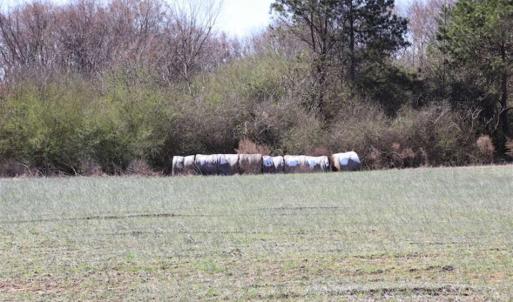 Photo of SOLD!!  5.95 Acres of Development Land For Sale in Harnett County NC!