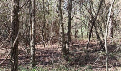 Photo of SOLD!!  5.95 Acres of Development Land For Sale in Harnett County NC!