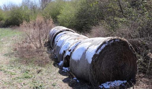 Photo of SOLD!!  5.95 Acres of Development Land For Sale in Harnett County NC!