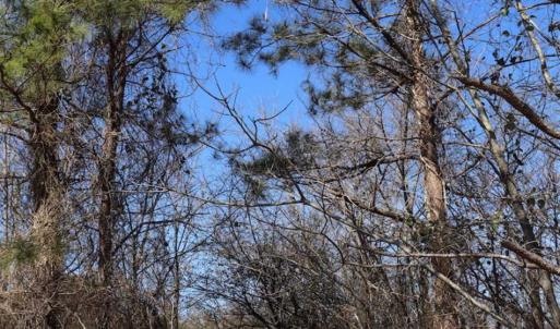 Photo of SOLD!!  5.95 Acres of Development Land For Sale in Harnett County NC!