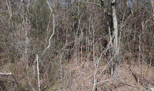 Photo of SOLD!!  5.95 Acres of Development Land For Sale in Harnett County NC!