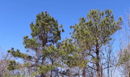 Photo of SOLD!!  5.95 Acres of Development Land For Sale in Harnett County NC!