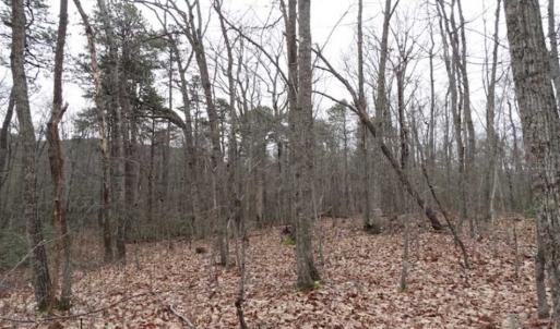 Photo of SOLD!!  20 Acres of Residential and Timber Land For Sale in Augusta County VA!