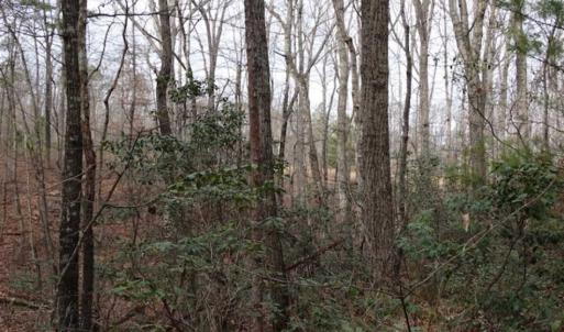 Photo of SOLD!!  20 Acres of Residential and Timber Land For Sale in Augusta County VA!