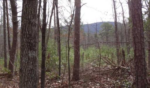 Photo of SOLD!!  20 Acres of Residential and Timber Land For Sale in Augusta County VA!