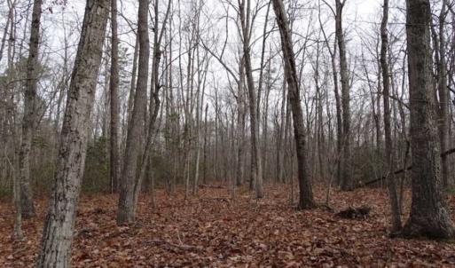 Photo of SOLD!!  20 Acres of Residential and Timber Land For Sale in Augusta County VA!