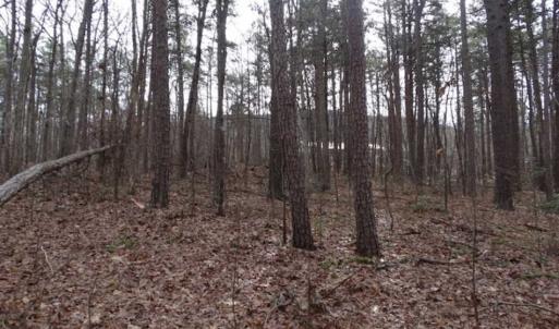 Photo of SOLD!!  20 Acres of Residential and Timber Land For Sale in Augusta County VA!