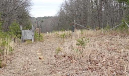 Photo of SOLD!!  20 Acres of Residential and Timber Land For Sale in Augusta County VA!