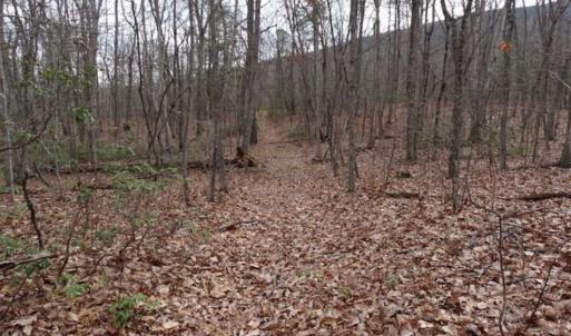 Photo of SOLD!!  20 Acres of Residential and Timber Land For Sale in Augusta County VA!