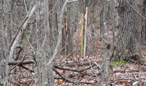 Photo of SOLD!!  20 Acres of Residential and Timber Land For Sale in Augusta County VA!