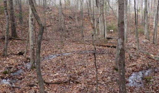 Photo of SOLD!!  20 Acres of Residential and Timber Land For Sale in Augusta County VA!