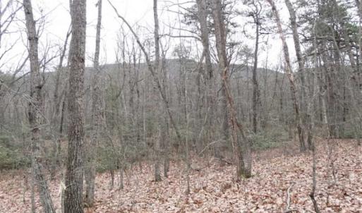 Photo of SOLD!!  20 Acres of Residential and Timber Land For Sale in Augusta County VA!