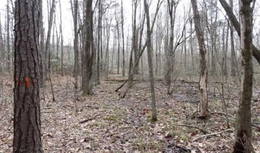 Photo of SOLD!!  20 Acres of Residential and Timber Land For Sale in Augusta County VA!