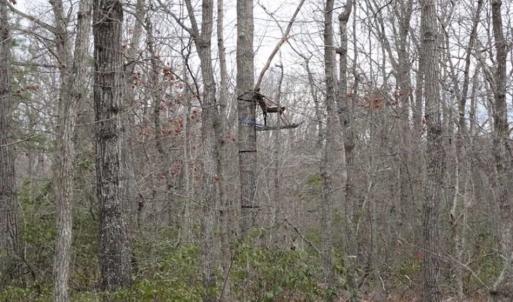 Photo of SOLD!!  20 Acres of Residential and Timber Land For Sale in Augusta County VA!