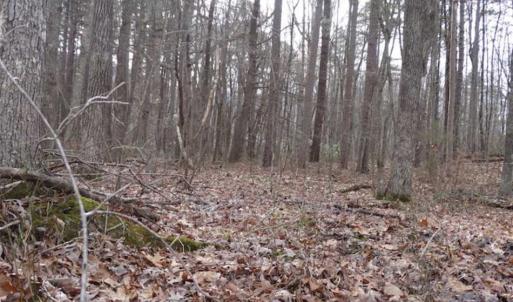 Photo of SOLD!!  20 Acres of Residential and Timber Land For Sale in Augusta County VA!
