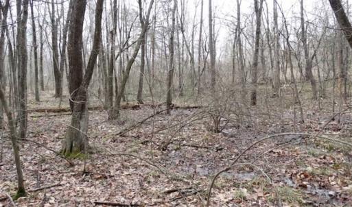 Photo of SOLD!!  20 Acres of Residential and Timber Land For Sale in Augusta County VA!