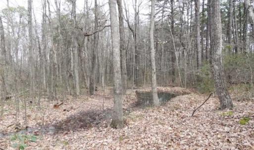 Photo of SOLD!!  20 Acres of Residential and Timber Land For Sale in Augusta County VA!