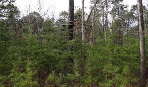 Photo of SOLD!!  20 Acres of Residential and Timber Land For Sale in Augusta County VA!