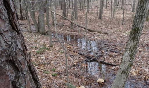 Photo of SOLD!!  20 Acres of Residential and Timber Land For Sale in Augusta County VA!