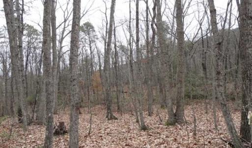 Photo of SOLD!!  20 Acres of Residential and Timber Land For Sale in Augusta County VA!