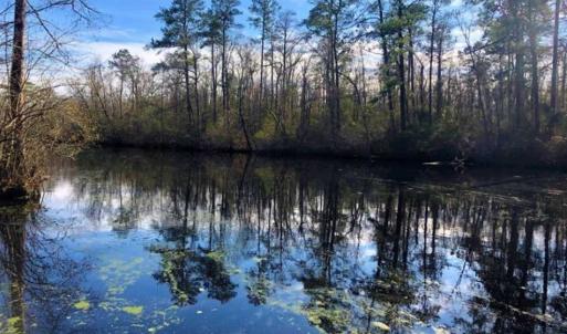 Photo of SOLD!! 142.05 Acres of Hunting Land For Sale in Camden County NC!