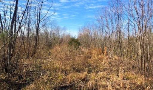 Photo of SOLD!! 142.05 Acres of Hunting Land For Sale in Camden County NC!