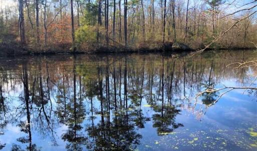 Photo of SOLD!! 142.05 Acres of Hunting Land For Sale in Camden County NC!