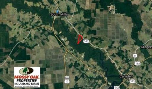 Photo of SOLD!! 142.05 Acres of Hunting Land For Sale in Camden County NC!