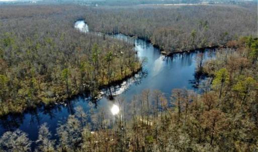 Photo of SOLD!! 142.05 Acres of Hunting Land For Sale in Camden County NC!