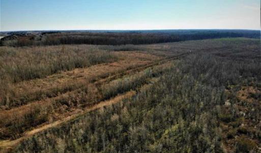 Photo of SOLD!! 142.05 Acres of Hunting Land For Sale in Camden County NC!