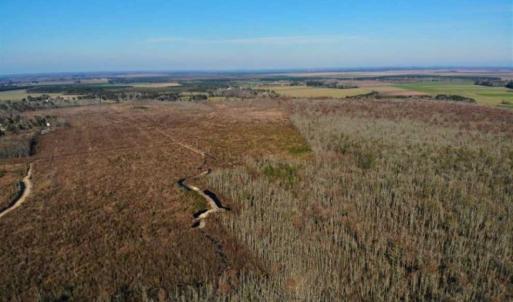Photo of SOLD!! 142.05 Acres of Hunting Land For Sale in Camden County NC!