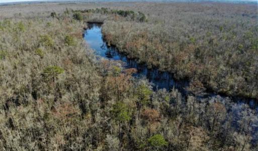 Photo of SOLD!! 142.05 Acres of Hunting Land For Sale in Camden County NC!